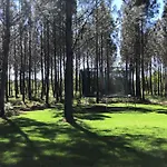 Au Coeur De La Foret 빌라