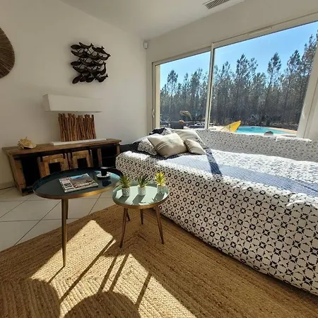 Au Cœur De La Forêt *