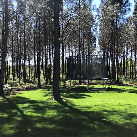 Au Coeur De La Foret Villa